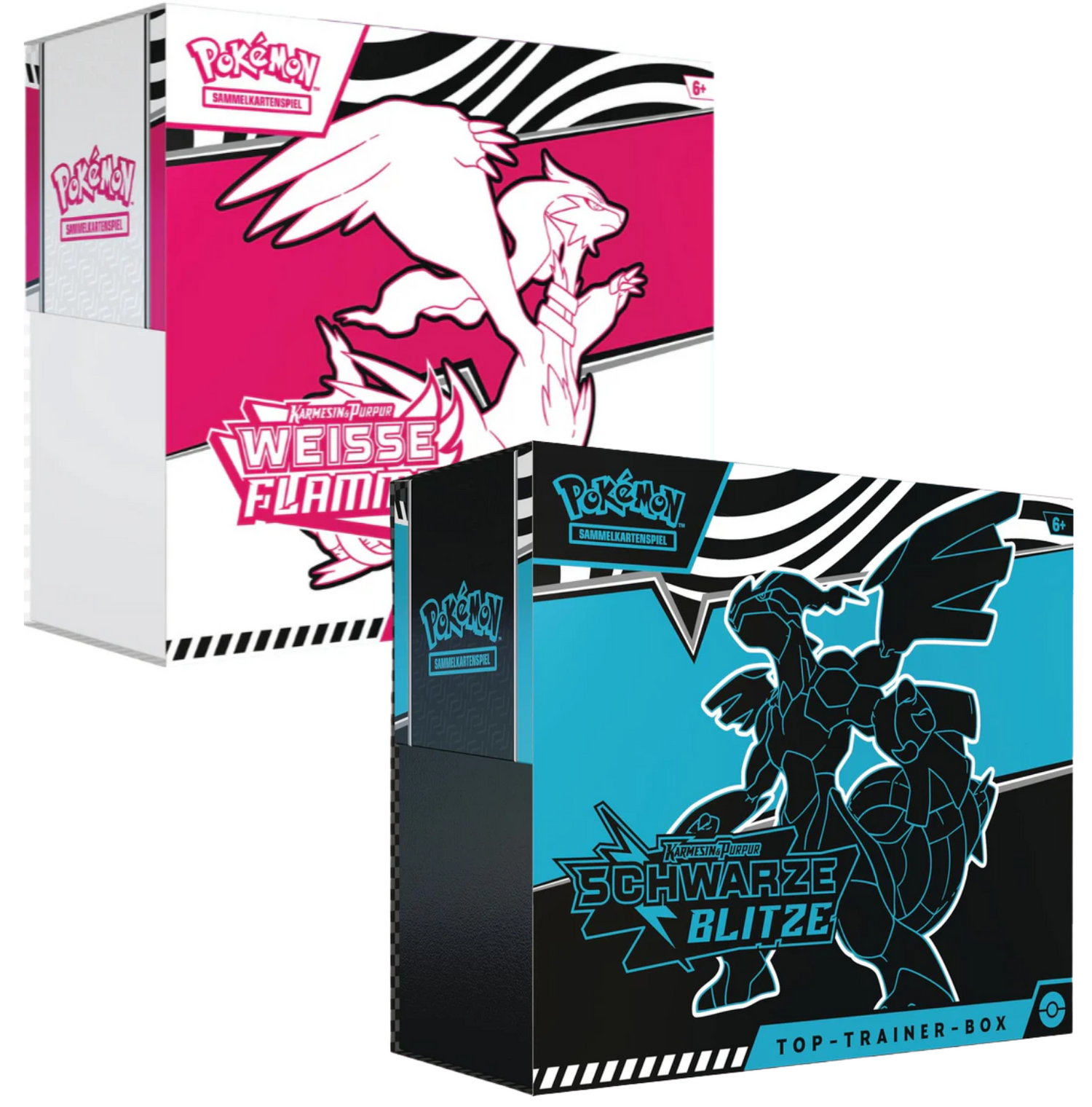 Top Trainer Boxen